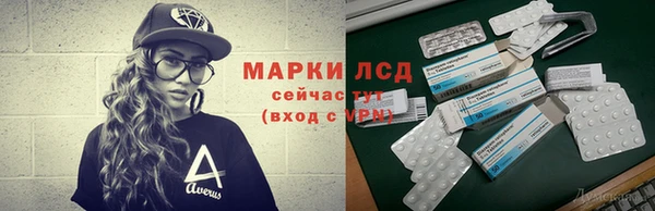 PSILOCYBIN Горнозаводск