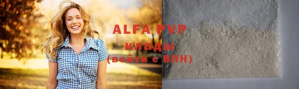 дживик Гусев