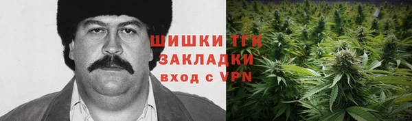 PSILOCYBIN Горнозаводск
