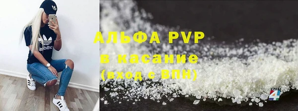 крисы Горняк