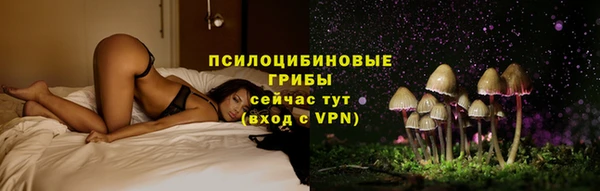 не бодяженный Гусь-Хрустальный