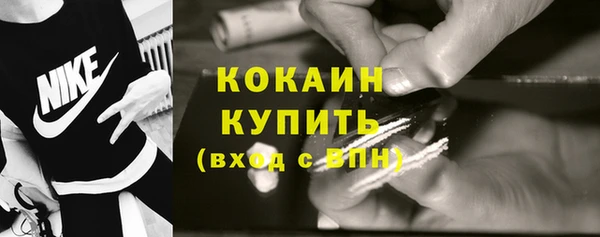 PSILOCYBIN Горнозаводск