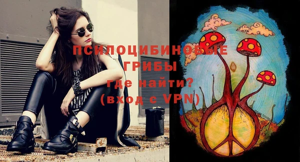 PSILOCYBIN Горнозаводск