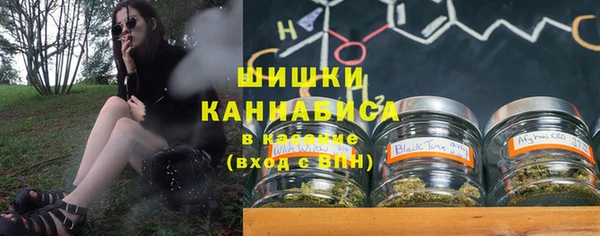 дживик Гусев