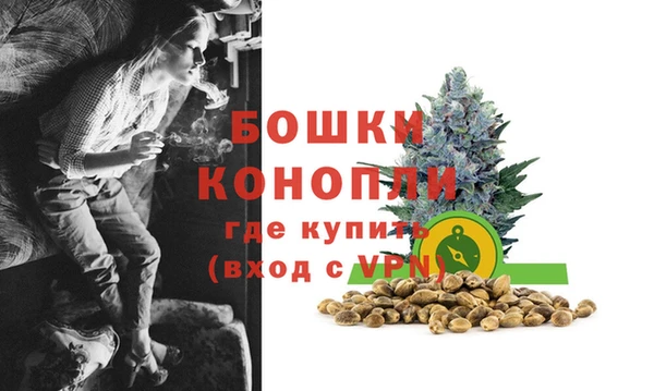 PSILOCYBIN Горнозаводск