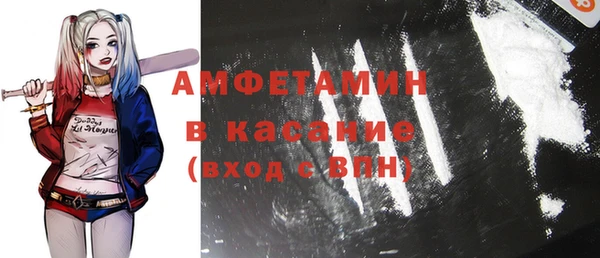 крисы Горняк