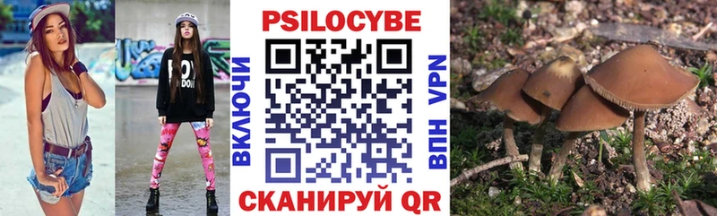 Галлюциногенные грибы Psilocybe Новосокольники