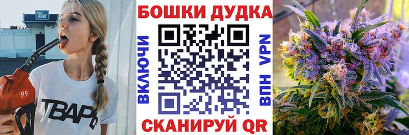 Канабис MAZAR  Новосокольники 